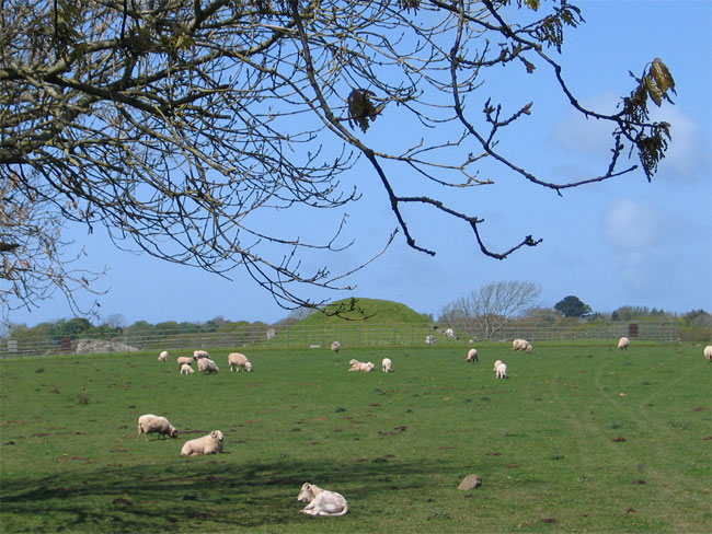 Click for the gallery page to add comments and vote (PID:49470) Bryn Celli Ddu