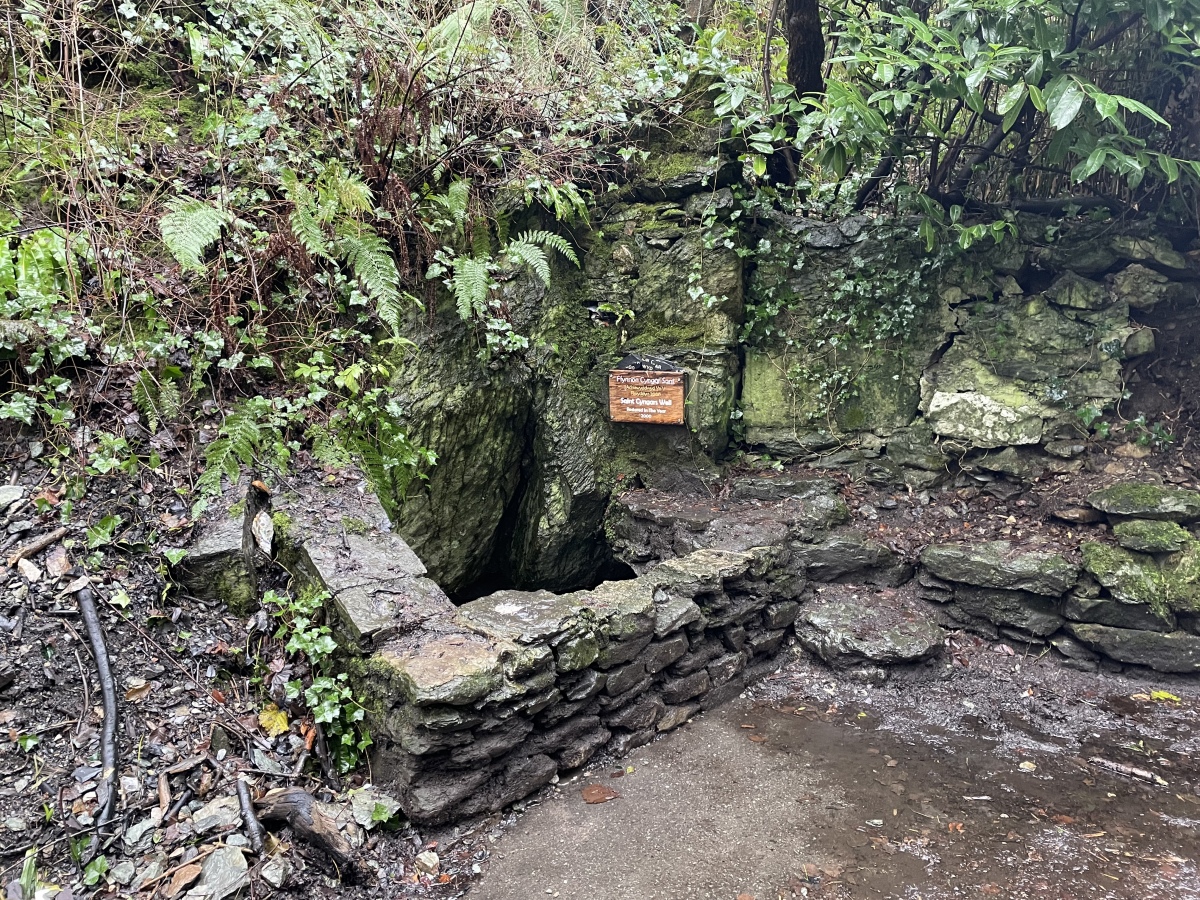 Click for the gallery page to add comments and vote (PID:252951) Ffynnon Cyngar Sant / St Cyngars Well