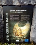 Bryn Celli Ddu