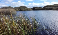 Llyn Cerrig Bach