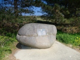 A55 Erratic - PID:250471