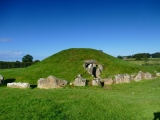 Bryn Celli Ddu - PID:287339