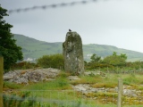 Caerdegog Uchaf - PID:273900