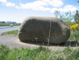 A55 Erratic - PID:56760