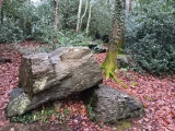 Modern Stone Circle near Marquis of Anglesey's Column - PID:283631