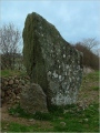 Bryn Gwyn Stones - PID:6146