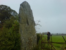 Bryn Gwyn Stones