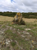 Bodior Standing Stone