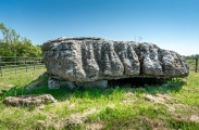 Lligwy Burial Chamber - PID:259481