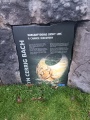Brynn Celli Ddu Car Park Mound - PID:283745