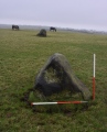 Mynydd Mwyn Mawr standing stones - PID:258034