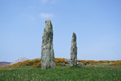 Penrhos-Feilw - PID:129283
