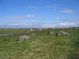 A55 Erratic - PID:56939