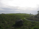 A55 Erratic - PID:56940