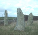 Llanfechell 1 - PID:3675