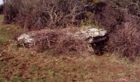 Coed y Glyn Burial Chamber - PID:2376