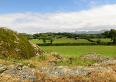 Bryn Celli Ddu Gorsedd