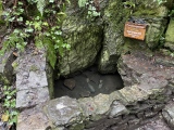 Ffynnon Cyngar Sant / St Cyngars Well - PID:252950