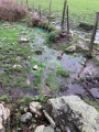 Ffynnon y Wrach - PID:252516