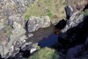 Ffynnon Dwynwen - PID:88571