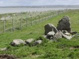 Penrhos (Holyhead) - PID:132886