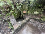 Ffynnon Cyngar Sant / St Cyngars Well - PID:252949