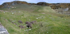 Porth Dafarch ancient huts submitted by nicoladidsbury