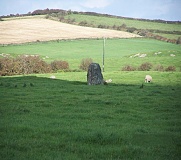 Shop Farm