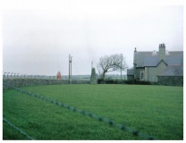 Soar Stone