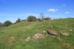 Castell Bryn-Gwyn