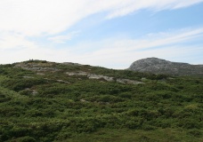Gorsedd Gwlwm