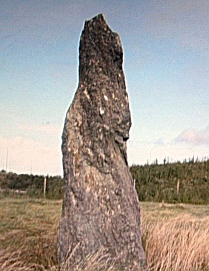 Click for full size image of Ty Mawr (Nr Holyhead) (PID:63345) Ty Mawr (Nr Holyhead)