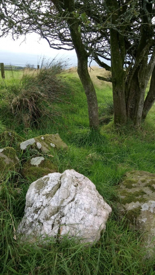 Cerrig Llwydion (Carms)