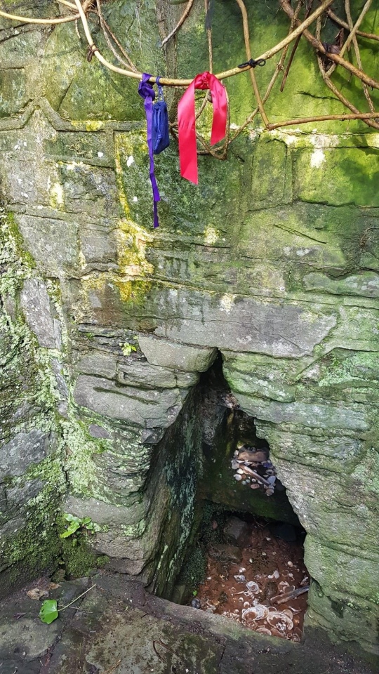 St Anthony's Well (Llansteffan)