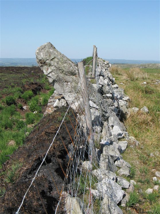 Click for the gallery page to add comments and vote (PID:76467) Pen-y-Coed Maen Hir