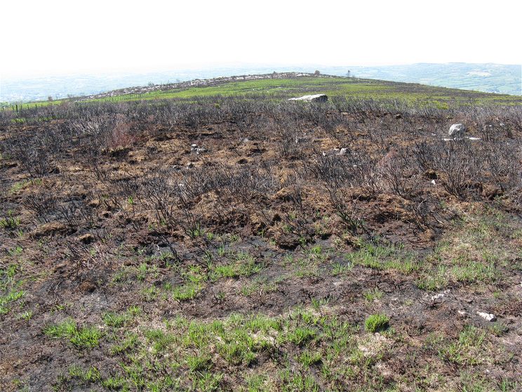 Click for the gallery page to add comments and vote (PID:76469) Penyrheolddu Ring Cairn