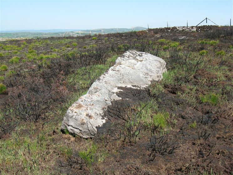 Click for the gallery page to add comments and vote (PID:76465) Penyrheolddu Standing Stone