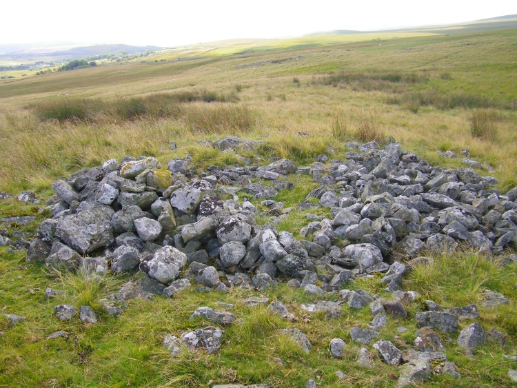 Click for the gallery page to add comments and vote (PID:79369) Derlwyn Isaf