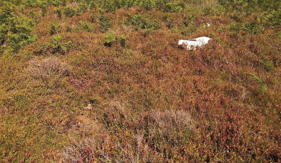 Brownhill Round Barrow