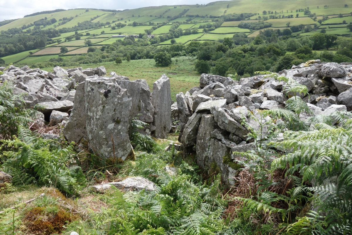 Carn Goch (Carmarthenshire)