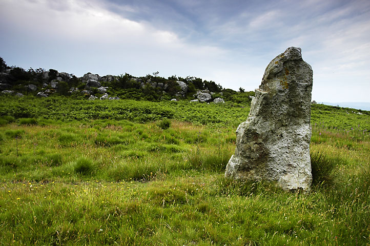 Click for the gallery page to add comments and vote (PID:23097) Castell Twby