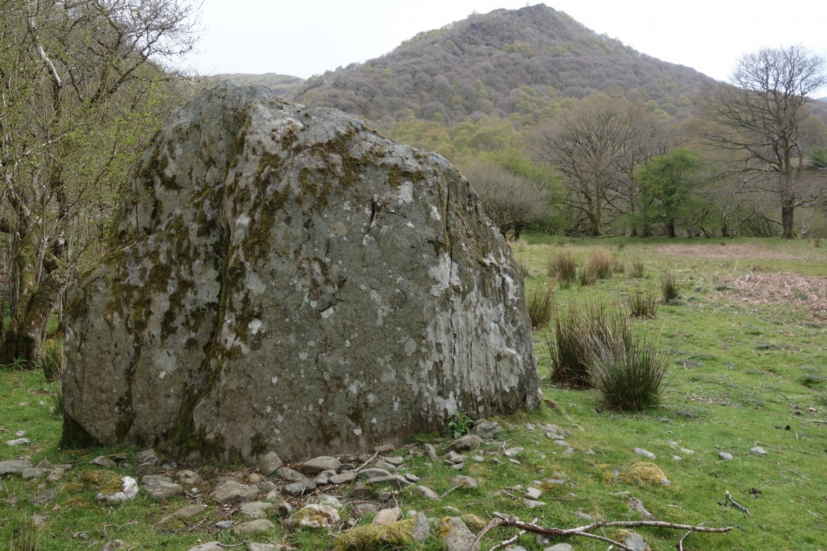 Click for the gallery page to add comments and vote (PID:226371) Ty Newydd Standing Stone