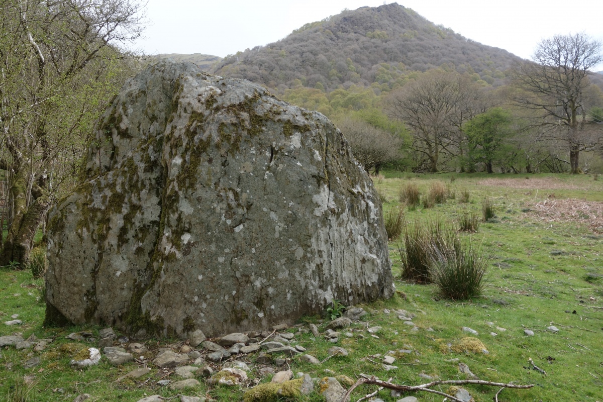 Ty Newydd Standing Stone