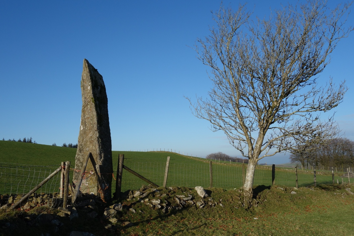 Hirfaen Gwyddog