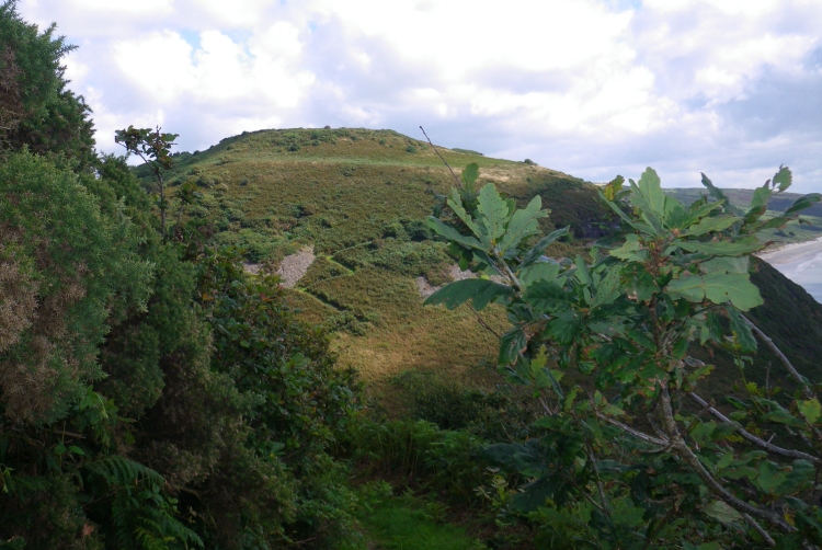 Top Castle, Eglwyscummin