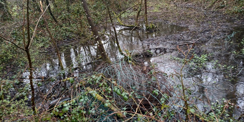 Click for the gallery page to add comments and vote (PID:225038) Maes Y Ffynnon Holy Well