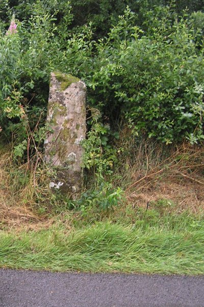 Click for the gallery page to add comments and vote (PID:23498) Sythfaen (Carmarthenshire)