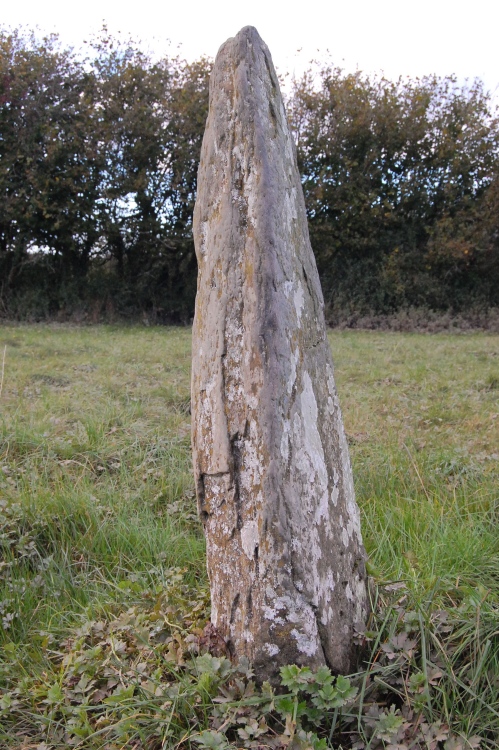 Click for the gallery page to add comments and vote (PID:43668) Llanddowror Standing stone