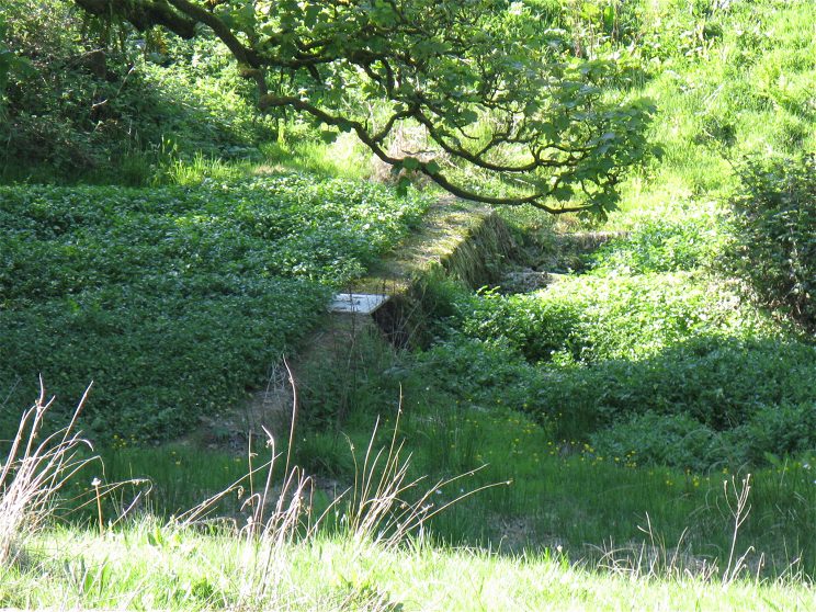 Click for the gallery page to add comments and vote (PID:76493) Ffynnon Gwenlais