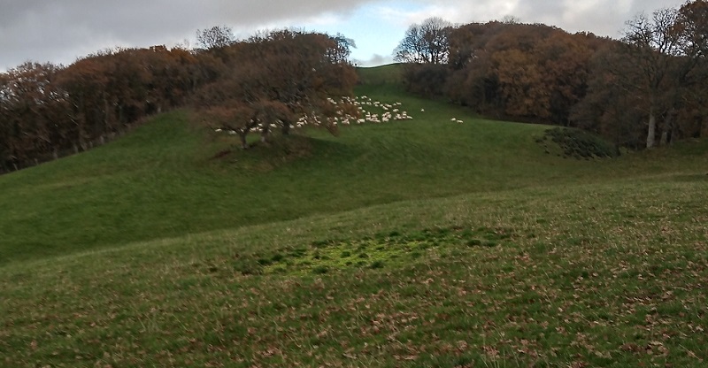 Click for the gallery page to add comments and vote (PID:219909) Cefn Crug Iron Age Defended enclosure